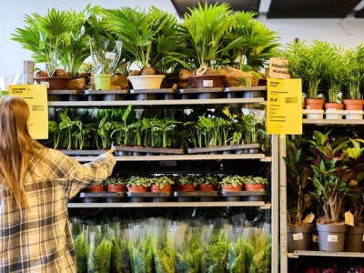 Unia Europejska nie rezygnuje z „zielonej rewolucji”. Tym razem zakaże plastikowych doniczek