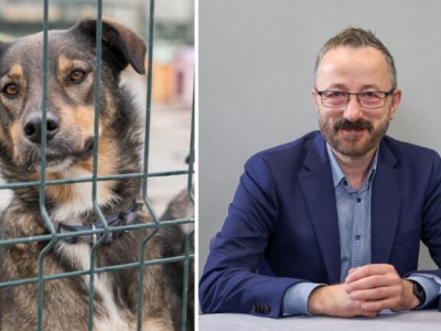 Czy opieka nad bezdomnymi zwierzętami w Polsce działa? Gościem RŁ Krzysztof Piątkowski