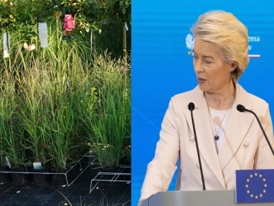 Europa ocali planetę. Po nakrętkach przyszedł czas na doniczki