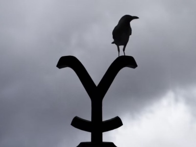 Twórca Yellowstone zdradza tajemnicę sukcesu serii. Zaskoczeni?