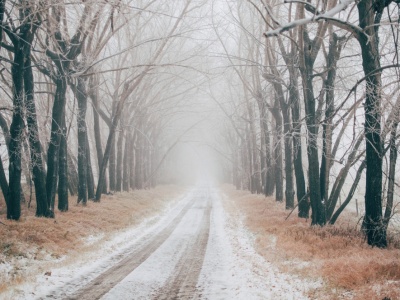 We wtorek uwaga na mgły!