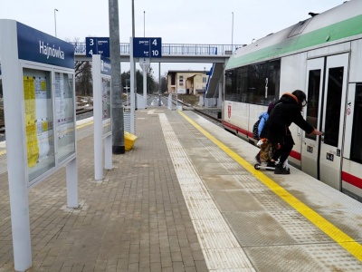 Linia Hajnówka – Białowieża ma trafić pod zarząd PKP PLK