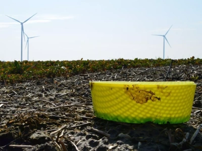 Nie tylko próg szkodliwości. Co decyduje o opłacalności oprysku?