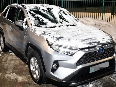 Kradziony elektryk w częściach i Toyota na lawecie. Funkcjonariusze SG udaremnili wywóz łupów