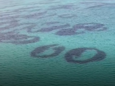 Tajemnicze kręgi zostały po raz pierwszy sfilmowane u wybrzeży Szkocji