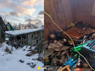 Dramatyczna akcja ratunkowa w Kielcach. Ktoś zostawił w altanie szczeniaki bez jedzenia. 