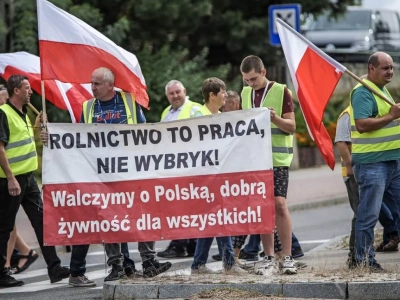 Brak zapłaty za bydło. KOWR wyjaśni procedury wypłat z Funduszu Ochrony Rolnictwa
