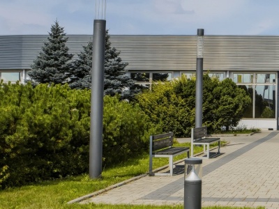 Akcje Forte w dół po wynikach