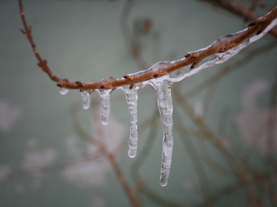IMGW wydał ostrzeżenia dla województwa lubelskiego. Oblodzenie i gęste mgły w nocy i nad ranem