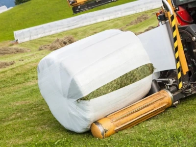 Stadnina w Janowie Podlaskim wyprzedaje maszyny rolnicze. W jakiej cenie ciągniki i kombajny?