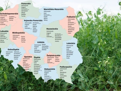 Groch siewny: Lista Odmian Zalecanych