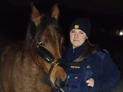 Poszukiwany właściciel konia, który błąkał się samotnie po osiedlu Czarne