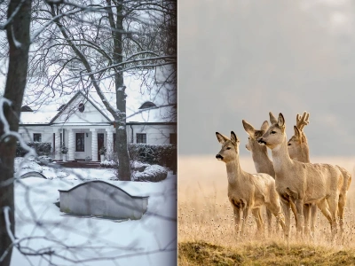 Tutaj odnajdziesz spokój zimą. To tylko godzina drogi od Warszawy