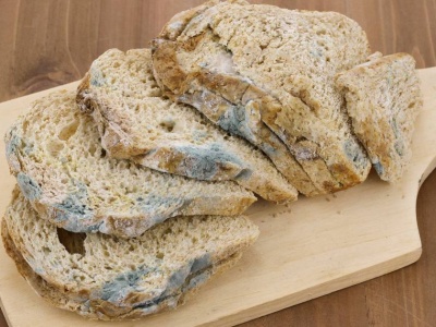 Gdzie wyrzucić stary chleb? Nagminnie popełniamy błąd