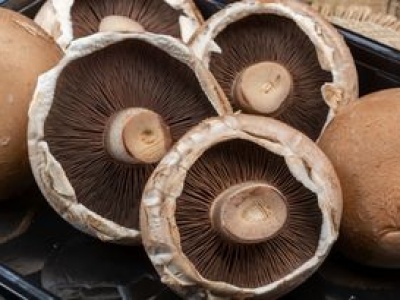 Zalegają w sklepach, bo mało kto kupuje. Mają więcej wartości niż zwykłe pieczarki