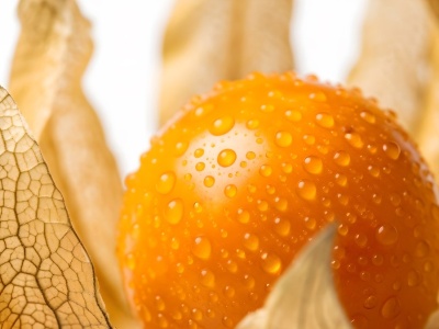 Owoc o stu imionach zadziwił naukowców. Zbadali, jak działa w profilaktyce najpopularniejszych chorób