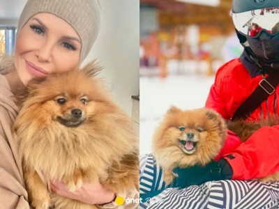 Joanna Racewicz pokazała zdjęcie psa. Wspomniała o sytuacji w schroniskach