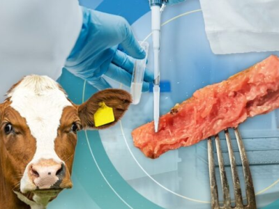 Światowe Forum Ekonomiczne wzywa do „masowego prania mózgu” w celu promowania mięsa hodowanego w laboratorium