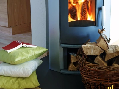 Dlaczego drewno strzela w kominku? Skąd się biorą te fascynujące dźwięki?