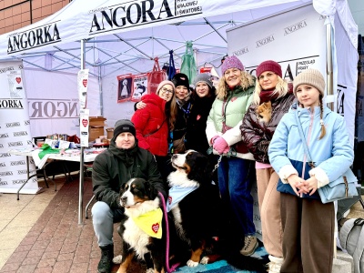 Angorka zagrała z WOŚP