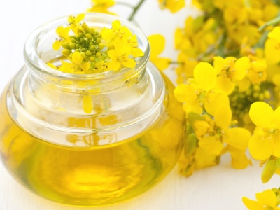 Rzepaku zaczyna brakować! Tłocznie alarmują: przemysł olejarski na skraju kryzysu