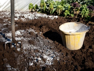 Posyp trawnik tym białym proszkiem. Wiosną sąsiedzi zapytają, co zrobiłeś