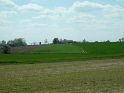 Zakup gruntów rolnych na licytacji publicznej a podatek rolny