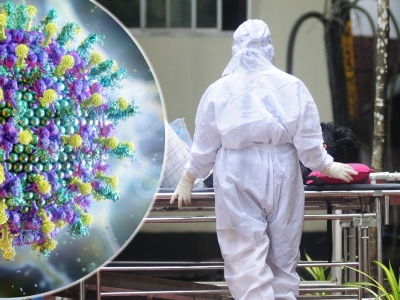Nowy wirus Nipah przeraża świat. Eksperci biją na alarm