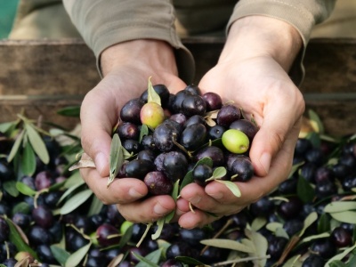 Płynne złoto drożeje. Europejski symbol może nie przetrwać