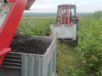 Aktywny rolnik - kto dostanie dopłaty bez udowadniania, że faktycznie jest rolnikiem?