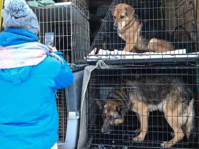 Starosta alarmuje, że jest „o wiele gorzej” niż w Sobolewie. „Nie mamy nic do ukrycia”