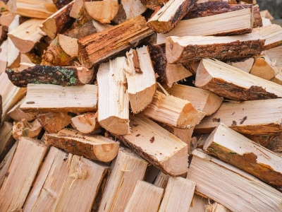 Grzeje jak buk, schnie szybciej i mniej kosztuje. Polacy wymieniają drewno do kominka