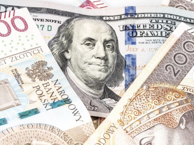 Kursy walut . Złoty traci, dolar odrabia