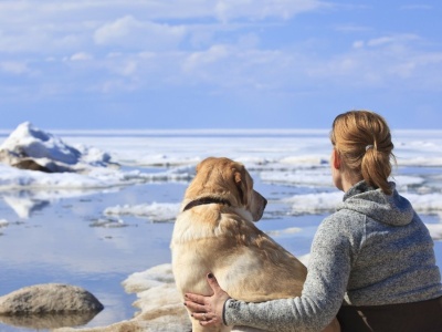 Psy wyczuwają strach opiekuna. Mają niebywałą zdolność