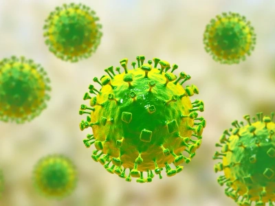 Groźny wirus Nipah pod lupą naukowców. Ekspert wyjaśnia, czy jest się czego bać