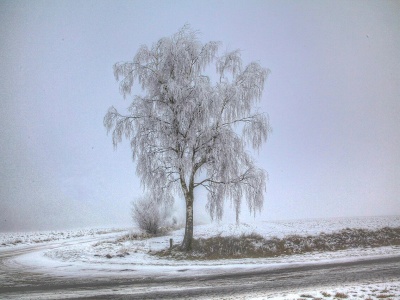 Silny atak zimy w Polsce. Nadciąga fala mrozów i śnieżyce
