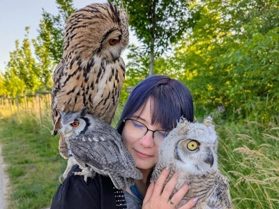 Jak Harry Potter zrobił krzywdę sowom. „Wiele ptaków umierało w krótkim czasie”