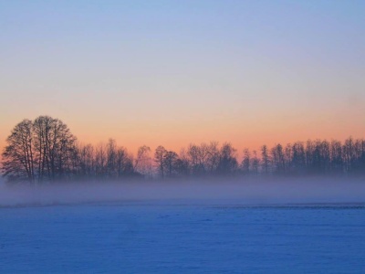 Silny mróz w Polsce minionej nocy. Temperatura przy gruncie spadła lokalnie do –24°C