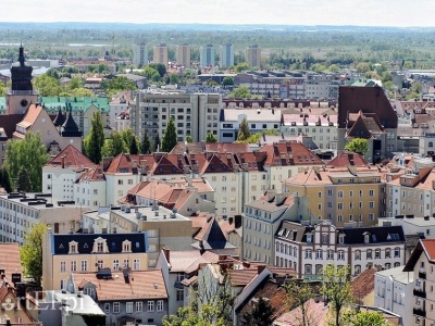 Czas na quiz. 12 pytań na 12 miesięcy