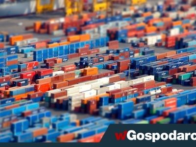 Strzały do Hallera. Przełamać rutynę „niedasizmu”