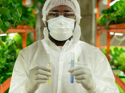 Oszustwo związane z Roundupem: Jak firma Monsanto pomogła stworzyć „naukowe” twierdzenia, że jej środek chwastobójczy jest bezpieczny