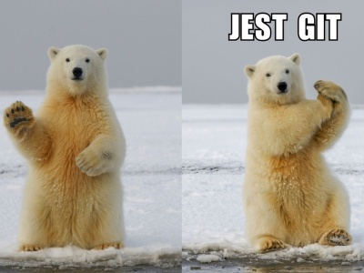 Norwegia: naukowcy zaskoczeni dobrą formą misiów polarnych, pomimo zmian klimatu są dorodniejsze