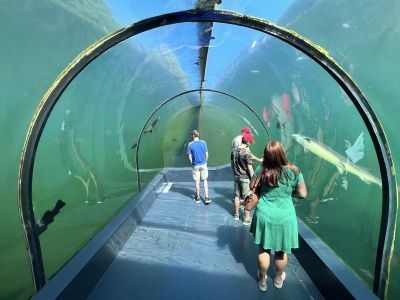 Živá Voda – poznaj podwodny świat bez moczenia się