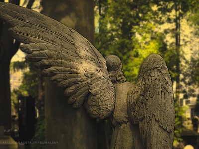 Po co czytać poezję?