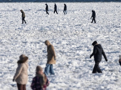 Ludzie szturmują plażę w Mikoszewie i robią coś niepokojącego. Zdjęcia mrożą krew w żyłach