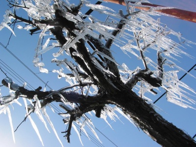 Silny mróz opanowuje Polskę. IMGW wydało alerty w dwóch stopniach