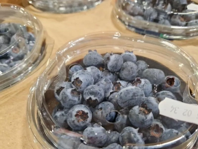 Rynek borówki: chilijski sezon zakończy się wcześniej, Europa szykuje się na wzrost cen