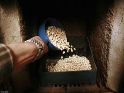 Zboże zamiast pelletu. Tak Polacy chcą tanio ogrzewać domy