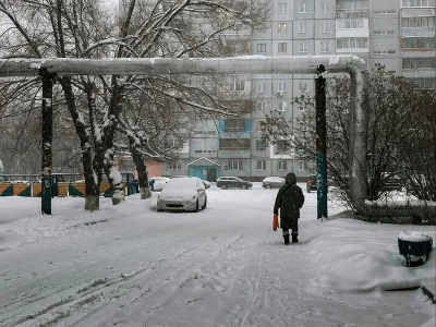 Już 40 ofiar mrozu w Polsce. Specjalista wyjaśnia, kto jest najbardziej zagrożony