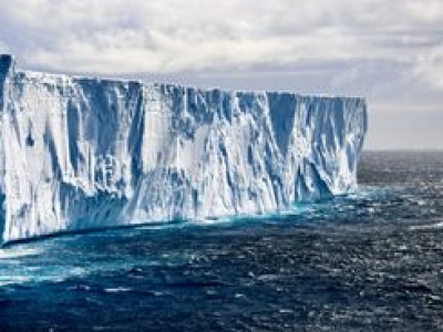 Przeczy dotyczasowym teoriom. Nie pochłaniają tyle CO2